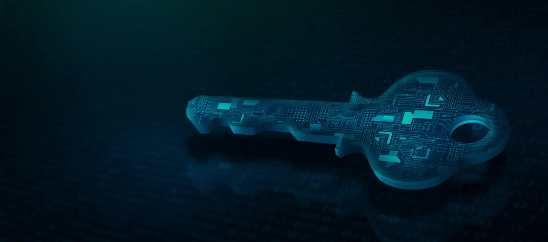 zero trust security solutions