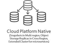 Cloud4C Expertise in Cloud platform native Disaster Recovery tool