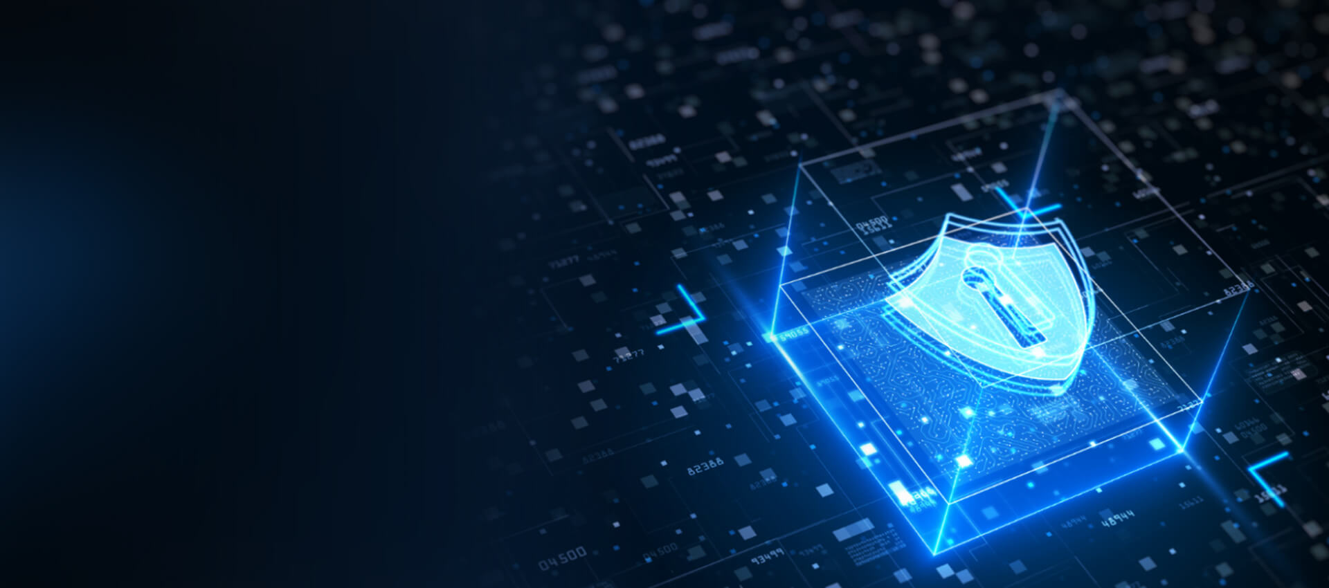Image for Data Security Services