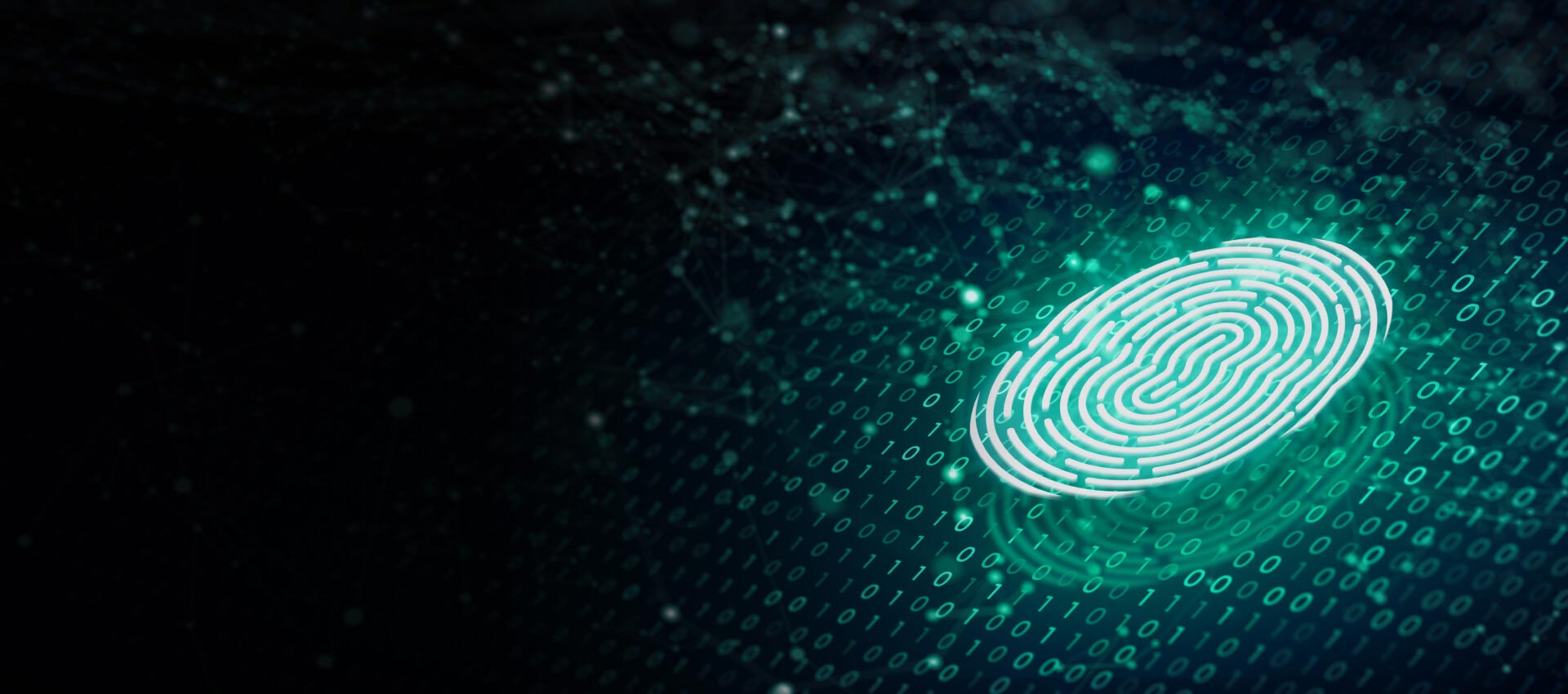 identity and access management solution