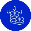 Cost-Efficiency