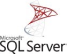 SQL Server Logo