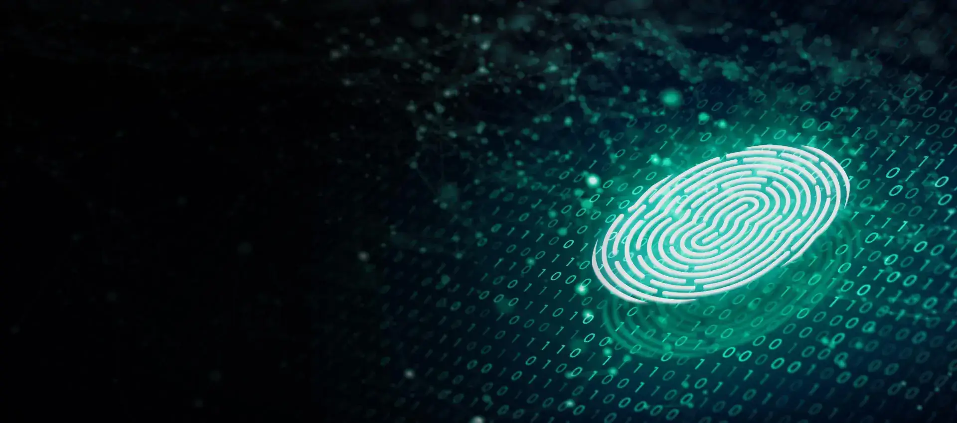 identity and access management solution