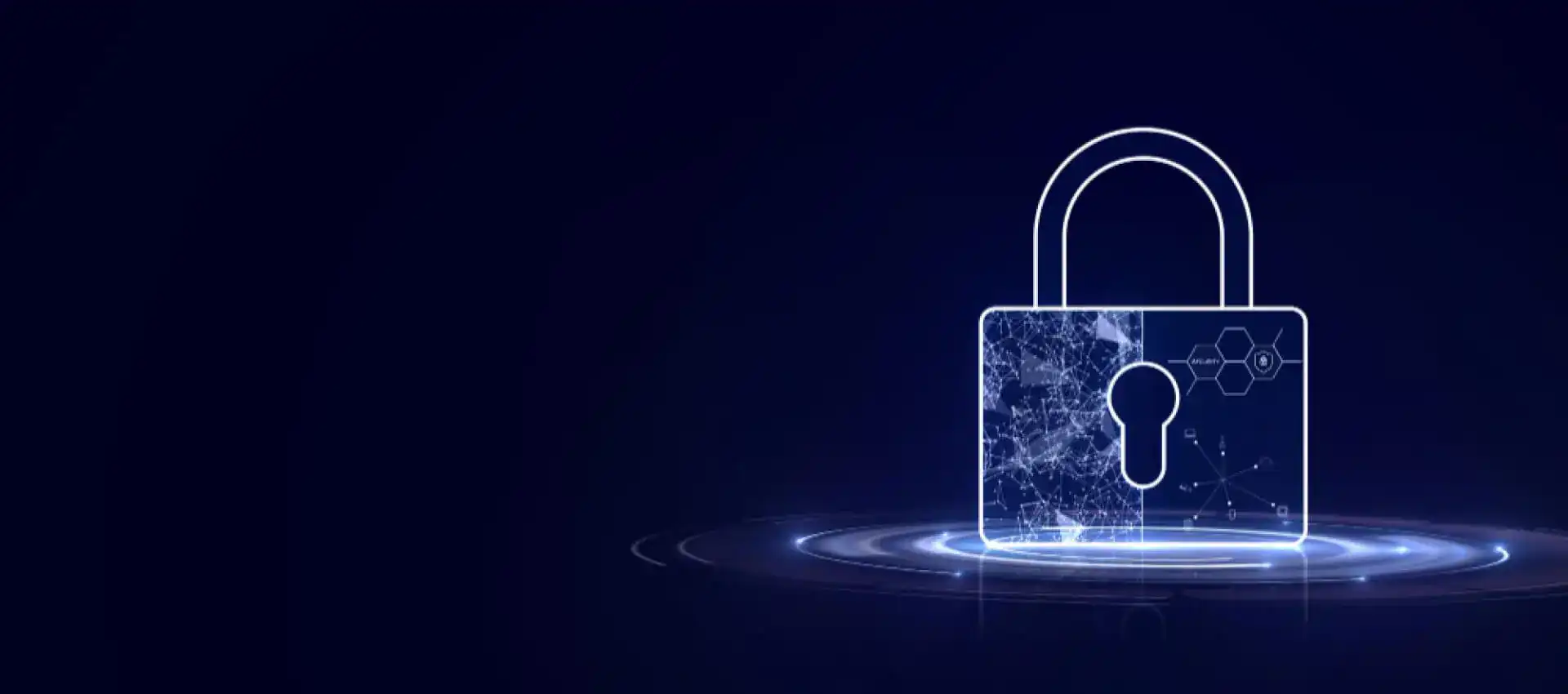 Vulnerability Assessment and Penetration Testing (VAPT) Services