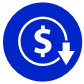 Significant reduction in IT expenses